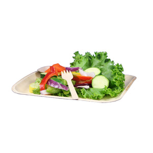 TreeChoice 8" Square Flat Palm Plate (4 packs of 25 - 100 count/case)